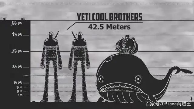 海贼王中难以想象的罕见巨大生命体，白星公主比梅丽号都大