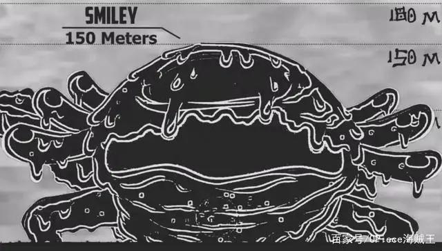 海贼王中难以想象的罕见巨大生命体，白星公主比梅丽号都大