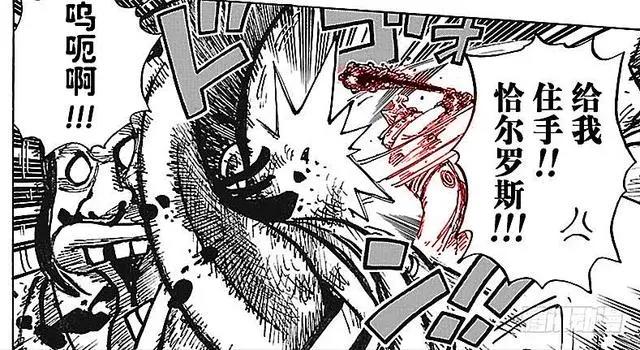 海贼王908话情报图：最强天龙人出现，五老星见了也得跪