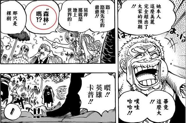 海贼王：白星非常喜欢路飞，卡普对白星也很满意！路帝党要凉了！