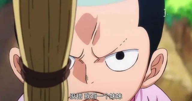 海贼王中:海王是白星,冥王是战舰,天王是桃之助?