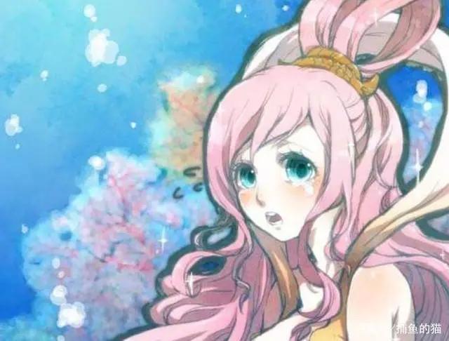 海贼王:全面对比女帝和白星,难怪卡普看好白星当孙媳