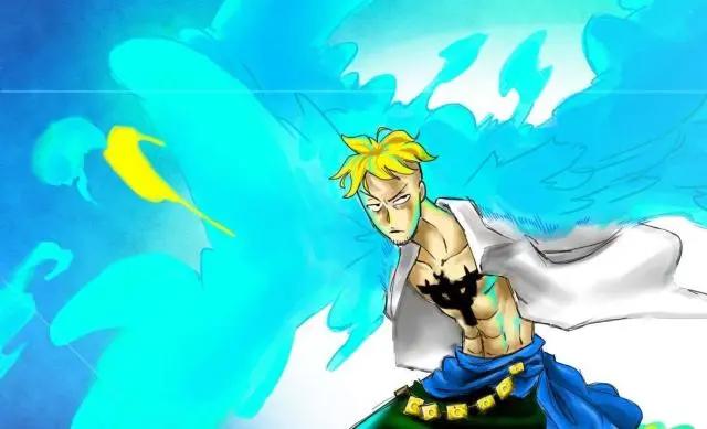 海贼王：若改变恶魔果实设定，每人能吃2颗，哪个组合会更强呢？