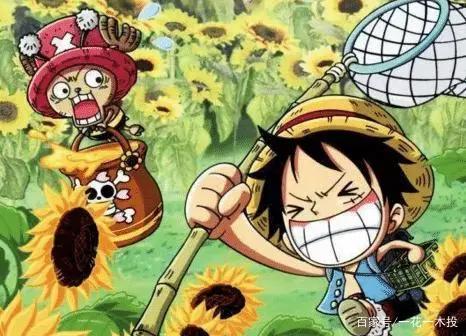 被低估了的他，在草帽海贼团里没地位，但实际能力不容小觑