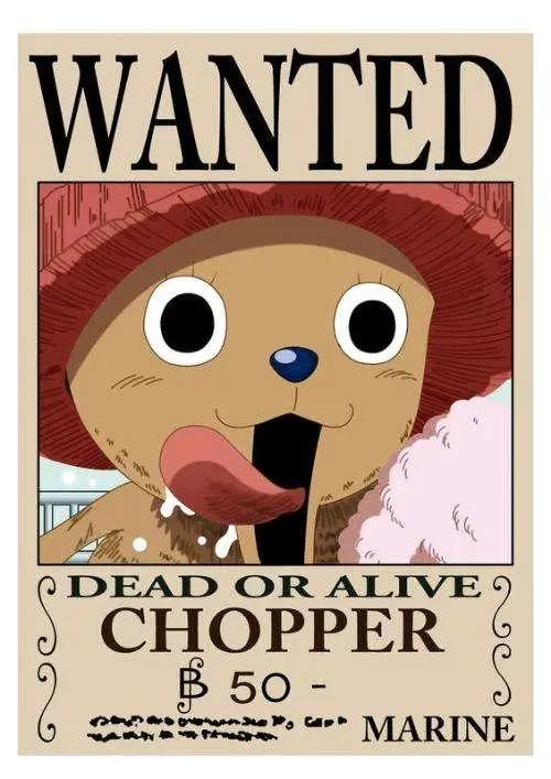 来看看草帽海贼团各人悬赏金都变多高了！