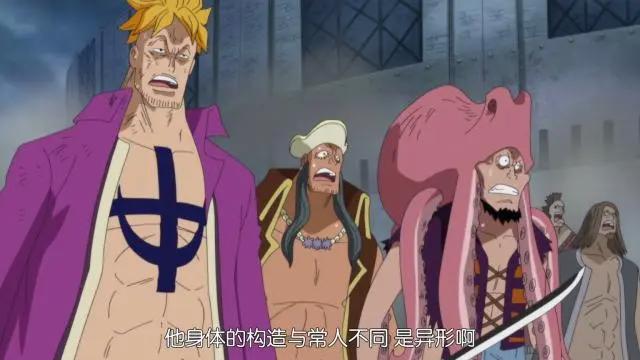海贼王：两位独特能力者，一位打破果实设定，一位拥有能力数百年