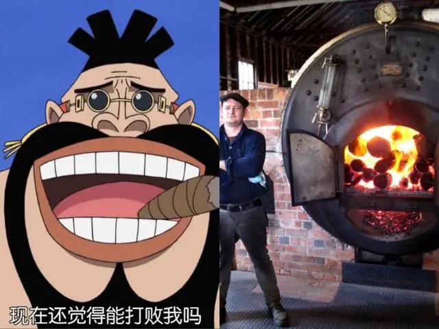 海贼王:5种恶魔果实的转化职业,第2个男人梦想,图5最朴实
