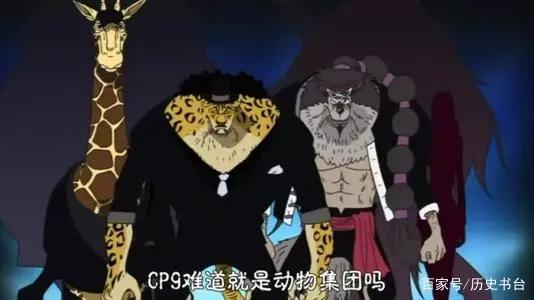 《海贼王》CP9已经成为了CP0,盘点CP9成员