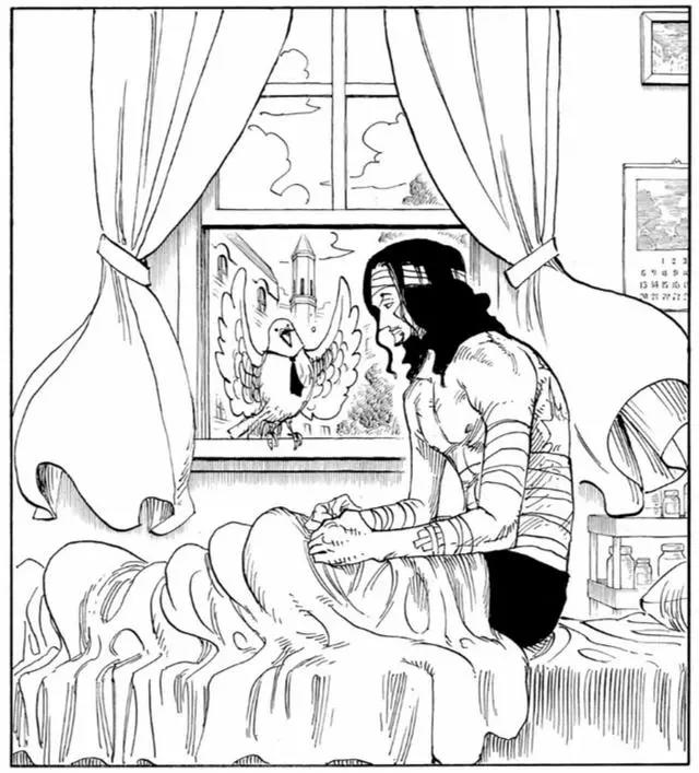 海贼王扉页故事，CP9的任务外报告：路奇回到故乡，迎击追兵！