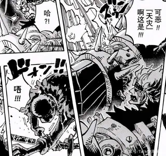 海贼王1001-1005话分析超新星房顶接班，小奇兵屋内发威