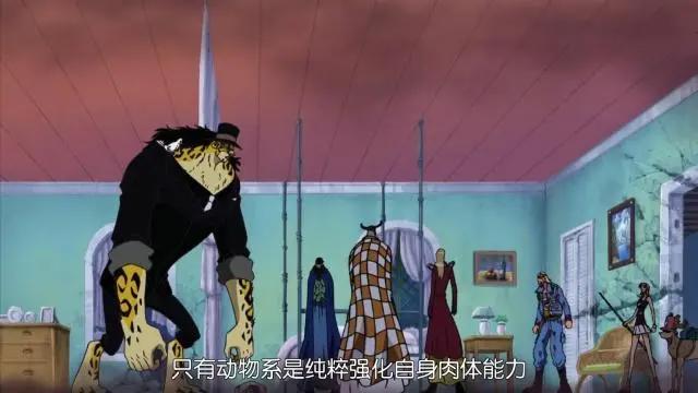 海贼王：路奇为何是CP9八百年来最强？因为单凭体术能与卡普比肩