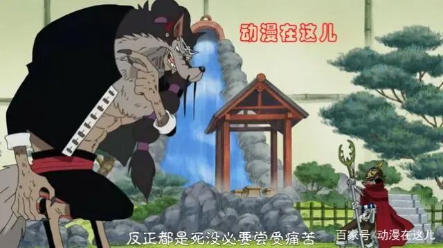 海贼王：犬犬果实的五种不同形态，终于出现一个幻兽种