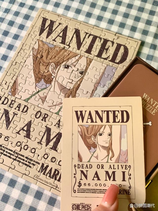 海贼王悬赏令，其中2个绝美3个搞怪｜TOI图益海贼王通缉令盘点