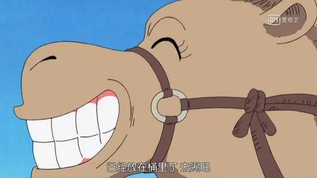 海贼王趣谈：海贼王中最欠揍的动物TOP3，简直一个比一个欠儿