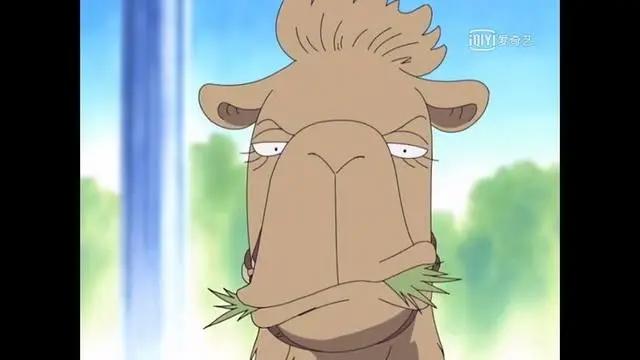 海贼王趣谈：海贼王中最欠揍的动物TOP3，简直一个比一个欠儿