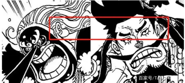 海贼王1002话《四皇VS新世代》深度翻译对比纠错和解读