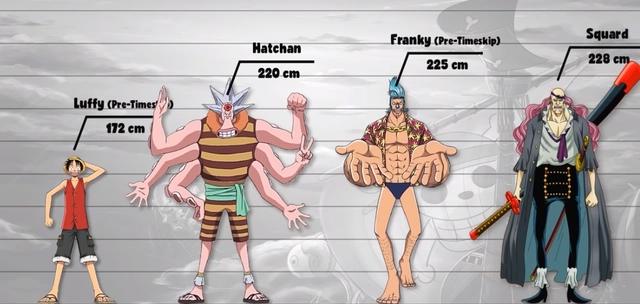 海贼王百名角色数据公示4：76岁2米身高，海贼设定至今是迷