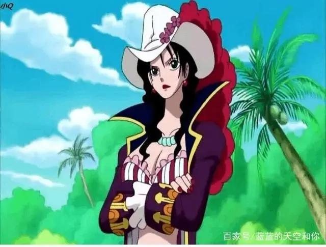 说一说在海贼王里面一些已知的恶魔果实