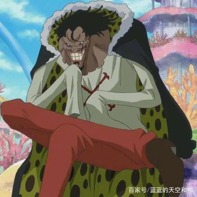 说一说在海贼王里面一些已知的恶魔果实