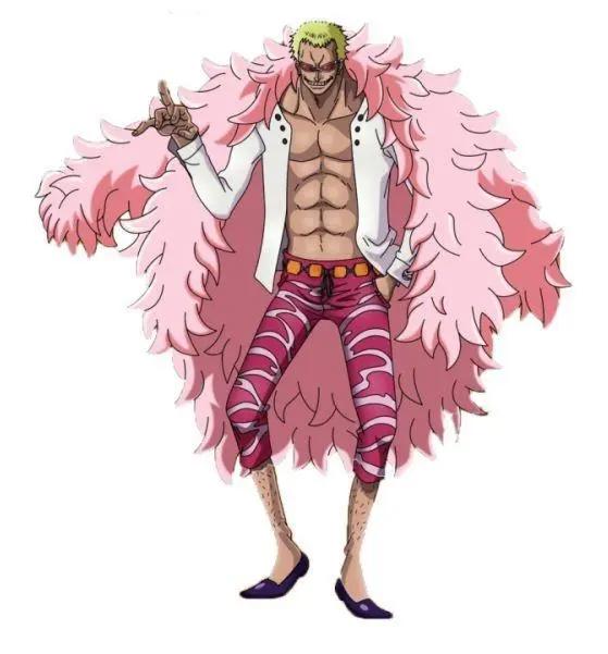 说一说在海贼王里面一些已知的恶魔果实