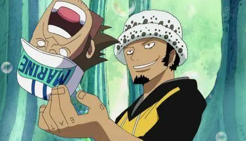 海贼王:船医们梦寐以求的4颗医用恶魔果实,每颗都能左右战果