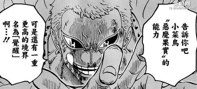 海贼王：除了多弗朗明戈和卡二以外的，四位前期果实能力觉醒者