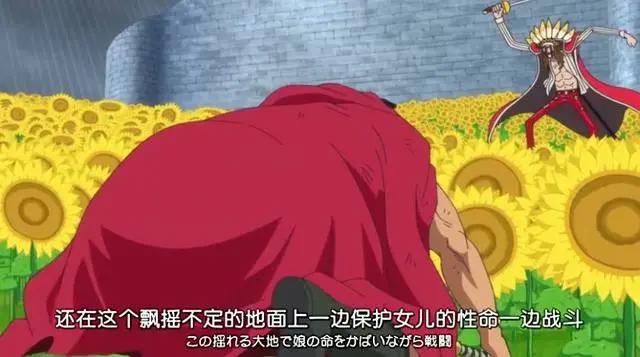 海贼王：除了多弗朗明戈和卡二以外的，四位前期果实能力觉醒者