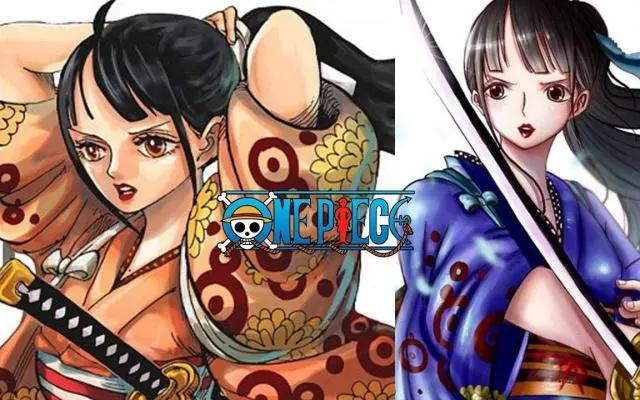 海贼王：小菊原来是一位CD，他最想见的人是伊万科夫