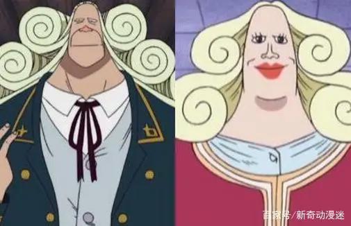 海贼王5对奇葩夫妻，白胡子妻子巴掌大小，最后一位与动物生子！