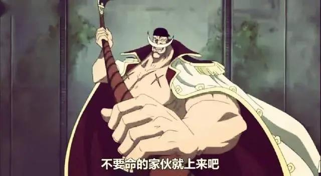 海贼王：你只记得他们的外号，还好意思说看过海贼王！