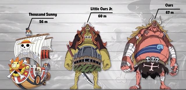 海贼王百名角色数据公示5:这些角色堪比巨人,隔壁始祖瑟瑟发抖