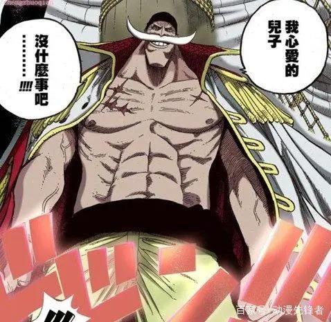 海贼王防御力最强几人，有谁不服