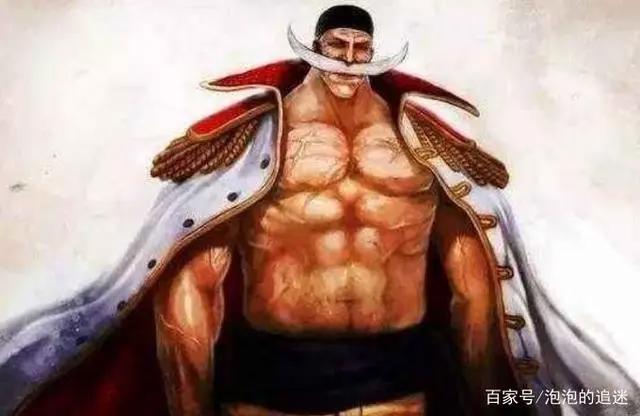 《海贼王》最可惜的五个角色，虽然已经离去，但观众记住了他们