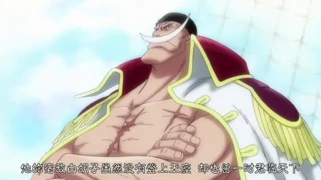 海贼王：五位被“遗弃”的孩子，三位成为四皇，两位潜力股