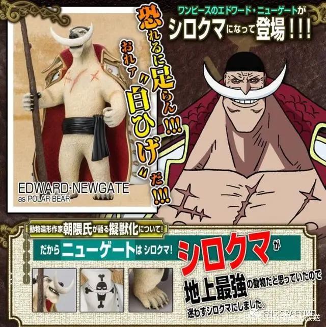 模玩图鉴*海贼王*白胡子*爱德华·纽盖特