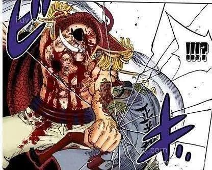 海贼王：白胡子——爱德华·纽盖特传第二章