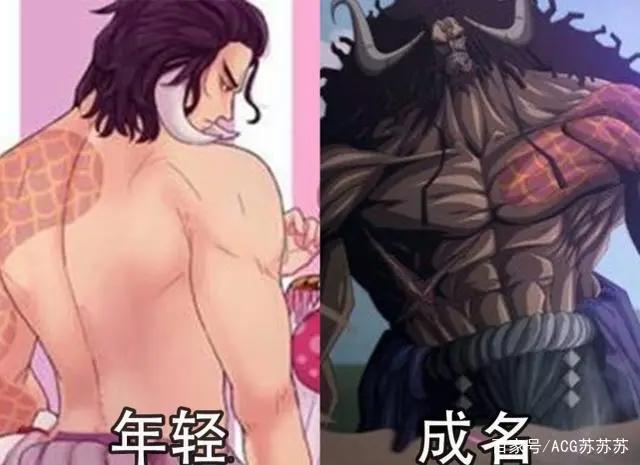 海贼王：六位四皇年轻与成名后的样貌变化，凯多与玲玲是怎么回事