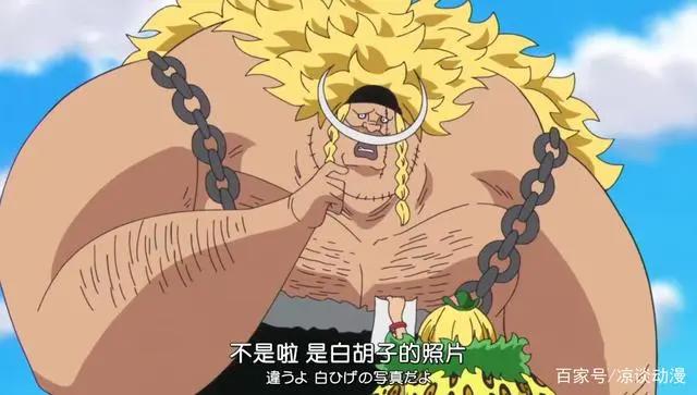 海贼王:至今为止还未登场的神秘人物,白胡子二世的可怕实力