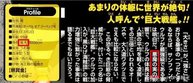 「流星电台」黑胡子海贼团干部设定考据（高质量解读）