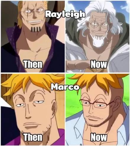 《海贼王》开播24年，角色发生了哪些变化？7张图带你了解