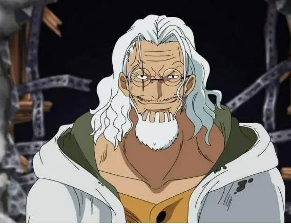 海贼王：罗杰船员实力排名，雷利第二，第三与山治等同