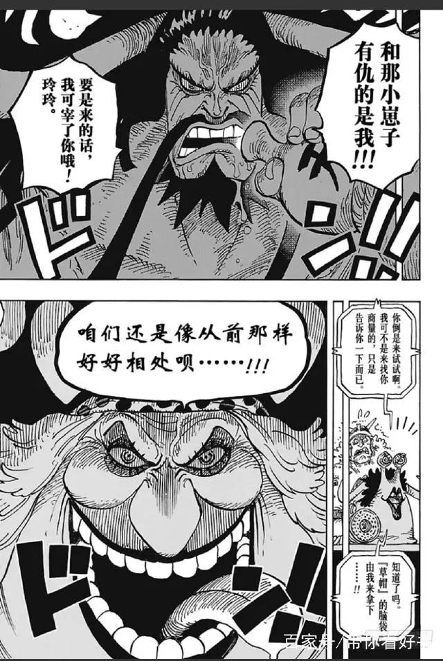 罗杰时代最强的海贼，大妈和凯多曾当船员，最后一位谁也想不到