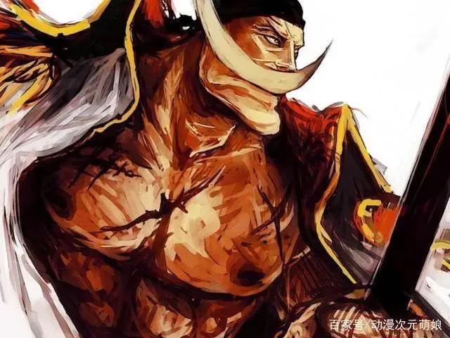 海贼王：实力排名前11的海贼，罗杰和白胡子谁能做第一？