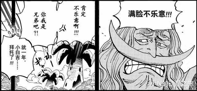 罗杰海贼团，一代海贼王的传奇故事！圆梦的同时也是落幕的开始