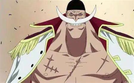 海贼王世界实力最强的四个人，罗杰第二，第一世界最强的男人！