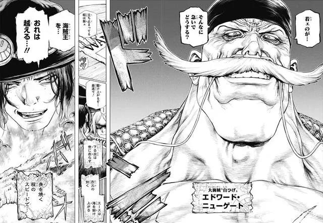 《海贼王》艾斯官方外传开始连载,画风很石纪元,评价两极分化