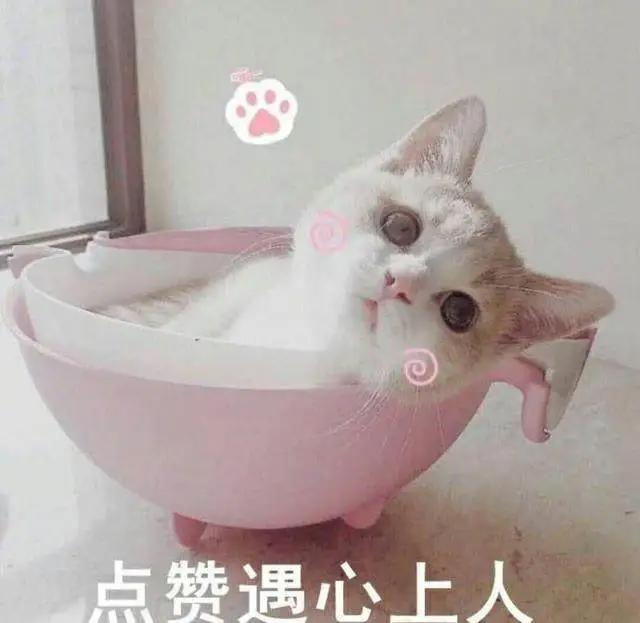 萨博的能力在三兄弟中当属老大？《海贼王》中不让萨博死必有后招