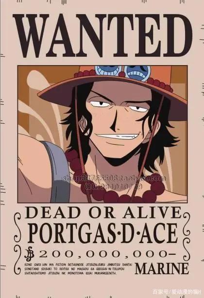 海贼王:有种悲伤叫艾斯,有种信仰叫D之意志!