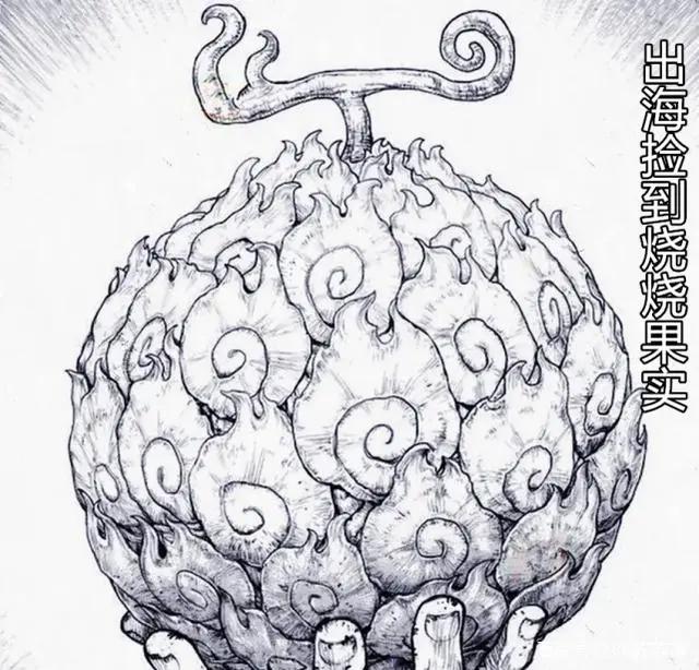 海贼王艾斯传开始连载，却因这一件事，让艾斯的实力约等于卡里布