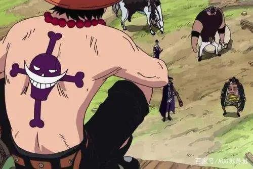 海贼王艾斯传开始连载，却因这一件事，让艾斯的实力约等于卡里布